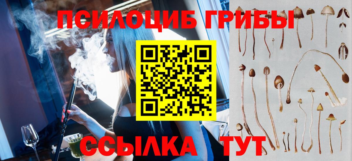 как найти   Галлюциногенные грибы ЛСД  Псилоцибиновые грибы GOLDEN TEACHER  Вход с VPN  Тюмень 